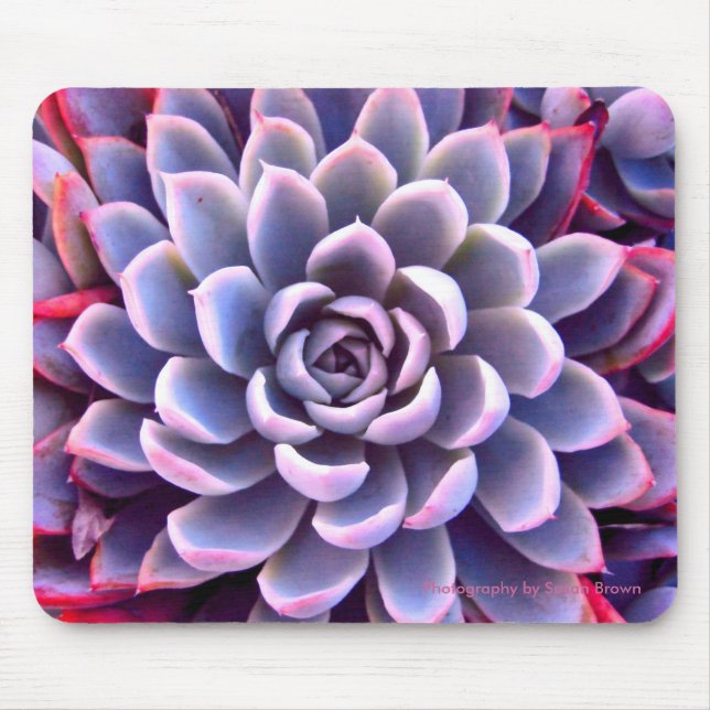 Tapis De Souris Rose et Mousepad succulent pourpre (Devant)