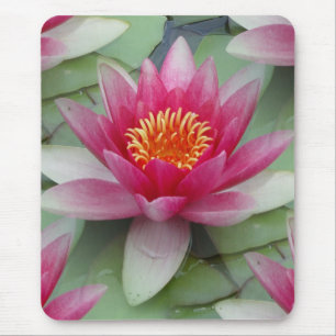 Tapis De Souris Rose Lotus Water Lily