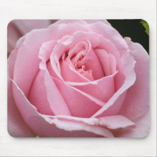 Tapis De Souris Rose Mousepad de rose