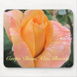 Tapis de souris -- Rose orange avec gouttes de plu