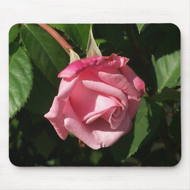 Tapis De Souris Rose rêveur Mousepad du rose de Belinda (Devant)