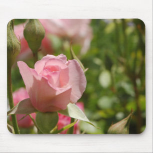Tapis De Souris Rose rose rose