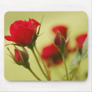 Tapis De Souris Rose rouge délicate