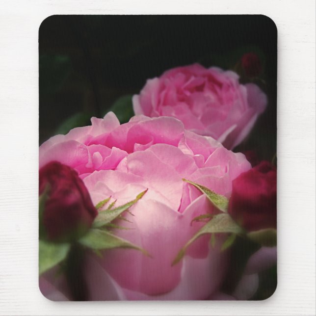 Tapis De Souris Roses anglais dans le rose (Devant)