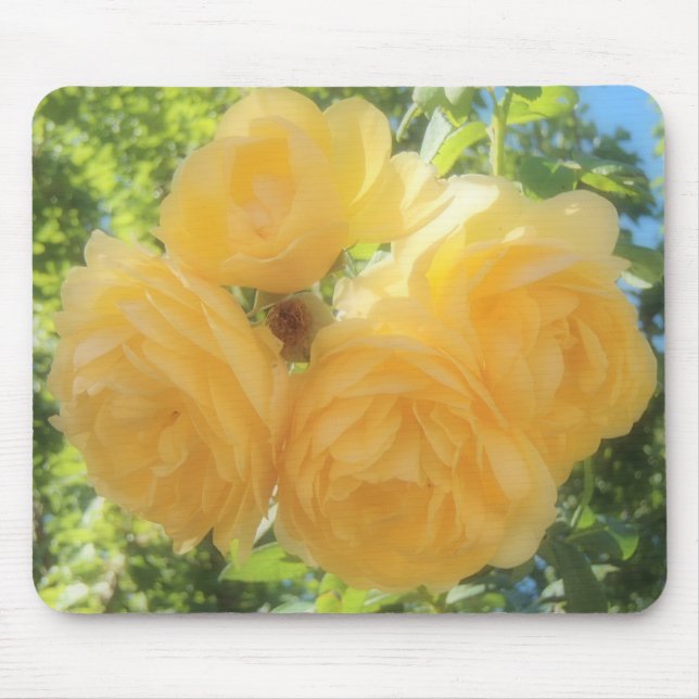 Tapis De Souris Roses jaunes (Devant)