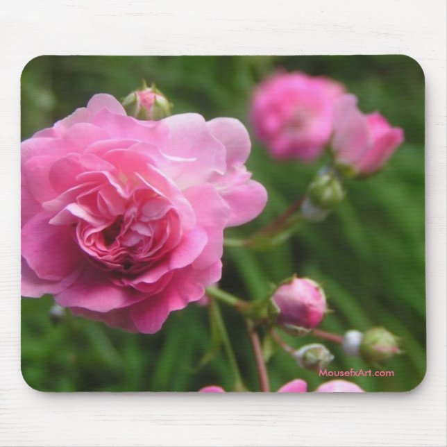 Tapis De Souris Roses roses mousepad (Devant)