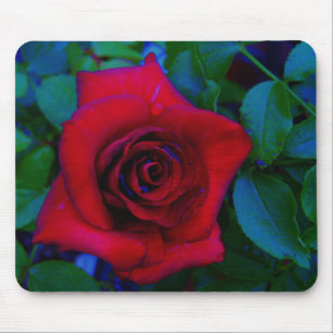 Tapis De Souris Roses rouges aux tons bleus