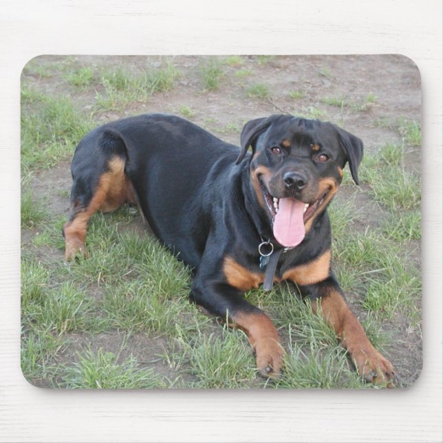 Tapis De Souris Rottweiler (Devant)