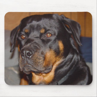 Tapis De Souris Rottweiler allemand