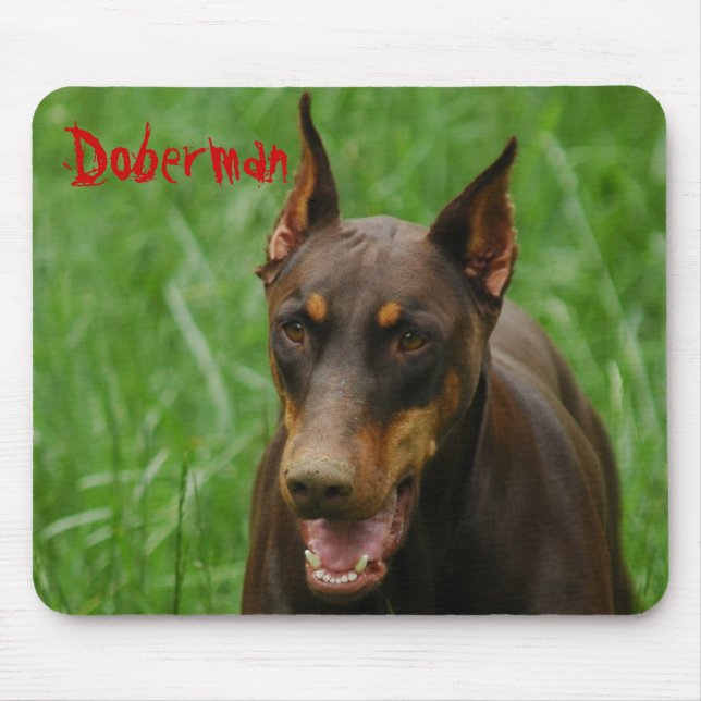 Tapis De Souris Rouge et dobermann de rouille (Devant)