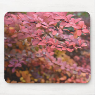 Tapis De Souris Rouge Orange Chute Feuillage Automne Feuilles Natu