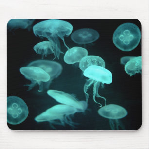 Tapis De Souris rougeoyer de méduses