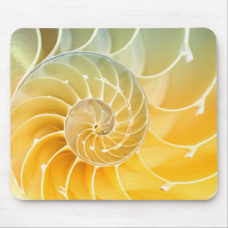 Tapis De Souris rouleau