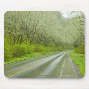 Tapis De Souris Route à distance par la forêt