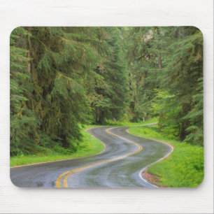 Tapis De Souris Route de la rivière Sol Duc à travers la forêt
