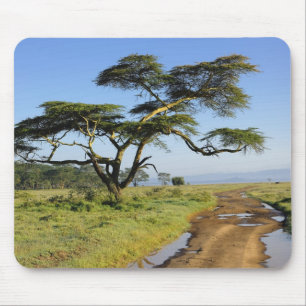 Tapis De Souris Route de terre primitive et acacia, lac Nakuru