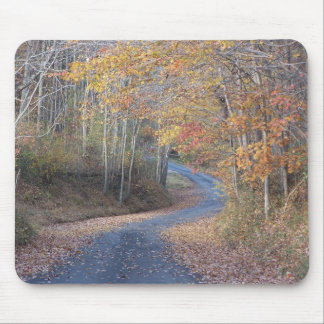 Tapis De Souris Routes de campagne