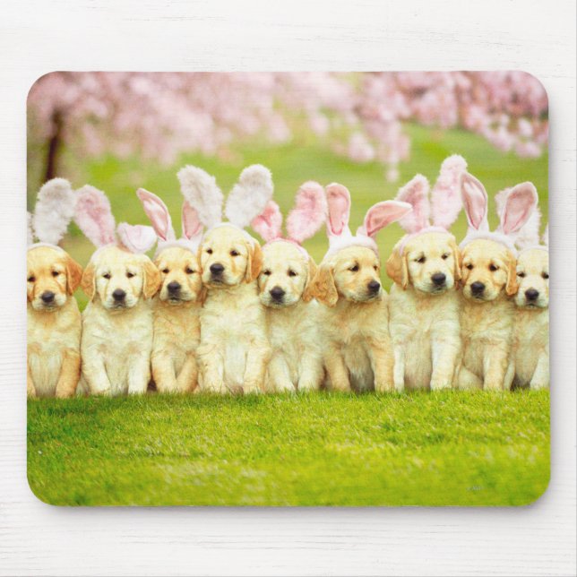 Tapis De Souris Row of Puppy Bunnies (Devant)