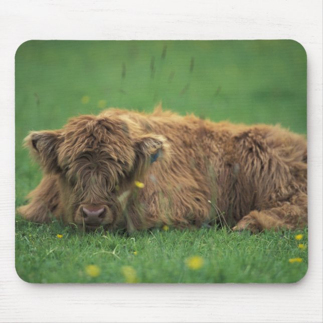 Tapis De Souris Royaume-Uni, Écosse. Calvaire des Highlands (Devant)