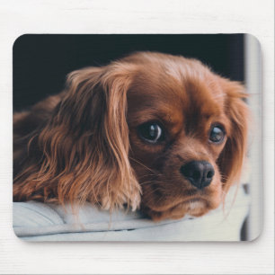 Tapis De Souris Ruby Cavalier King Charles Spaniel Chien Chien Chi