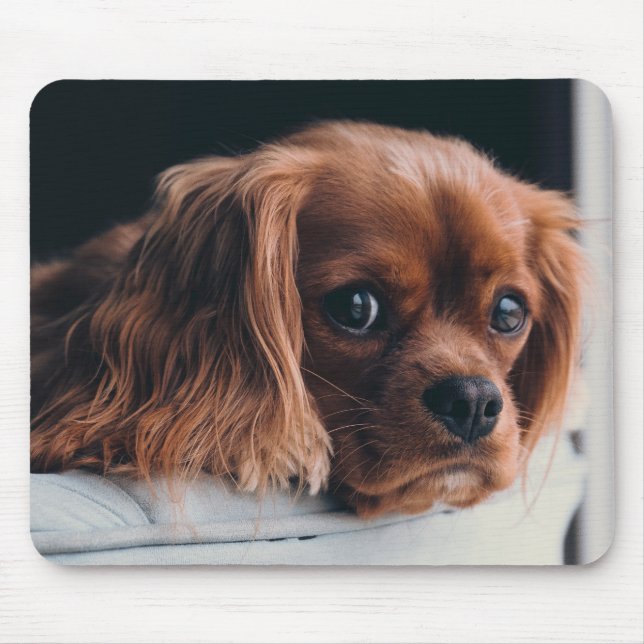 Tapis De Souris Ruby Cavalier King Charles Spaniel Chien Chien Chi (Devant)
