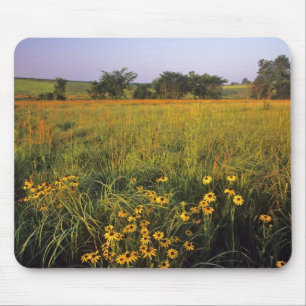 Tapis De Souris Rudbeckies à œil noir dans la prairie de hautes he