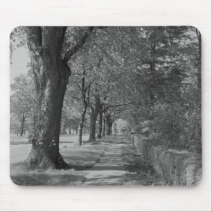 Tapis De Souris Rue Treelined avec le trottoir