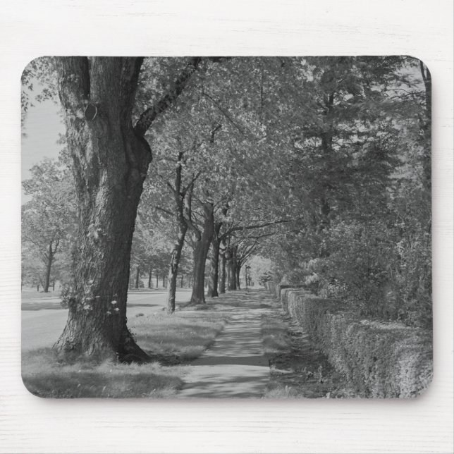 Tapis De Souris Rue Treelined avec le trottoir (Devant)