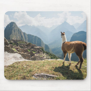 Tapis De Souris Ruines de négligence de lama Machu Picchu, Pér