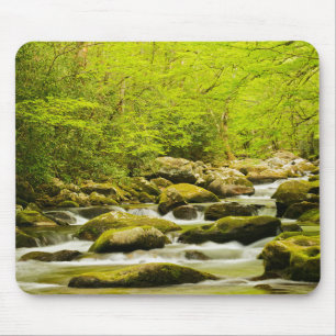 Tapis De Souris Ruisseau Rugissant au printemps