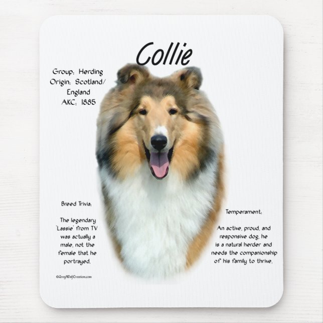 Tapis De Souris Sable Rough Collie Rencontrez la race (Devant)