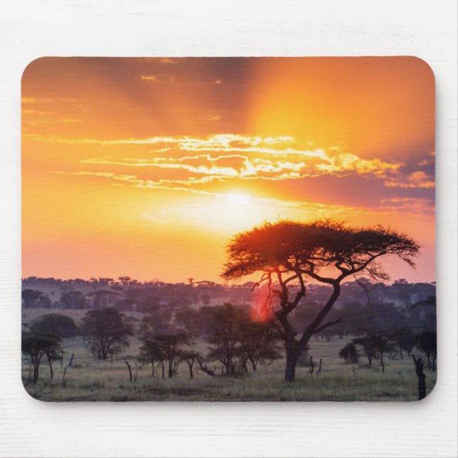 Tapis De Souris Safari dans le Parc National du Serengeti (Devant)