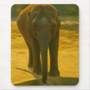 Tapis De Souris Sagesse des éléphants d'or - faune majestueuse