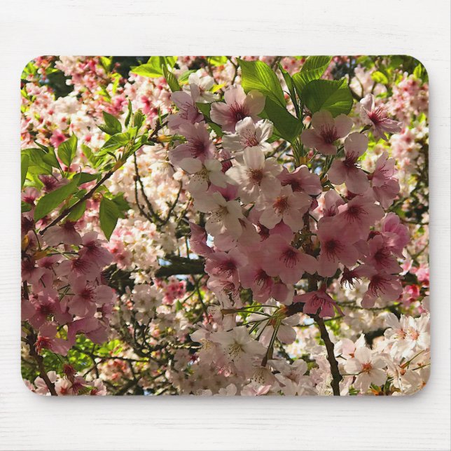 Tapis De Souris Sakura Cherry Blossom #3 Souris Pad (Devant)