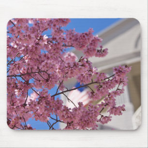 Tapis De Souris Sakura Cherry Blossoms