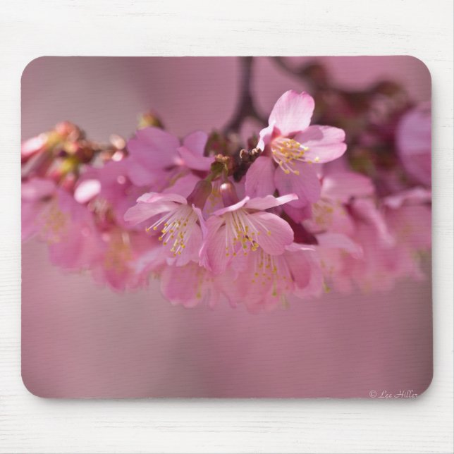 Tapis De Souris Sakura Cherry Blossoms Delicate Pink Bouquet (Devant)