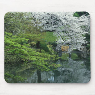 Tapis De Souris Sakura, jardin Koishikawa Koraku-en, Tokyo,