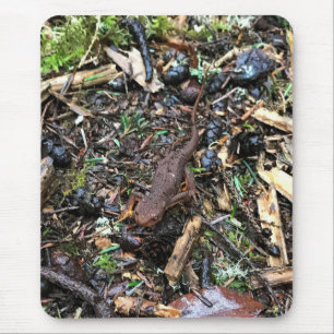 Tapis De Souris Salamandre dans la forêt, Washington