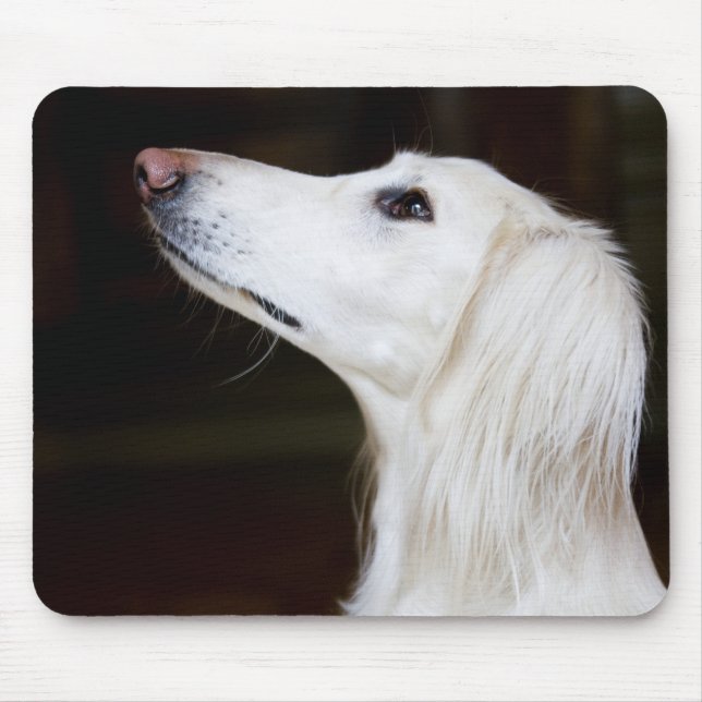 Tapis De Souris Saluki recherchant (Devant)