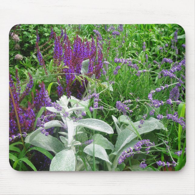 Tapis De Souris Salvia, Ours d'agneaux et Lavendar (Devant)