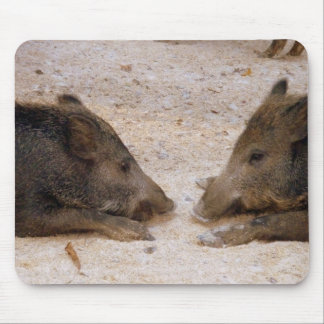 Tapis De Souris Sangliers - Wild Hog