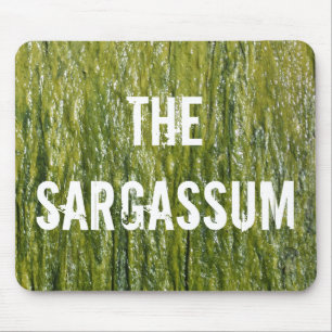 TAPIS DE SOURIS SARGASSUM !