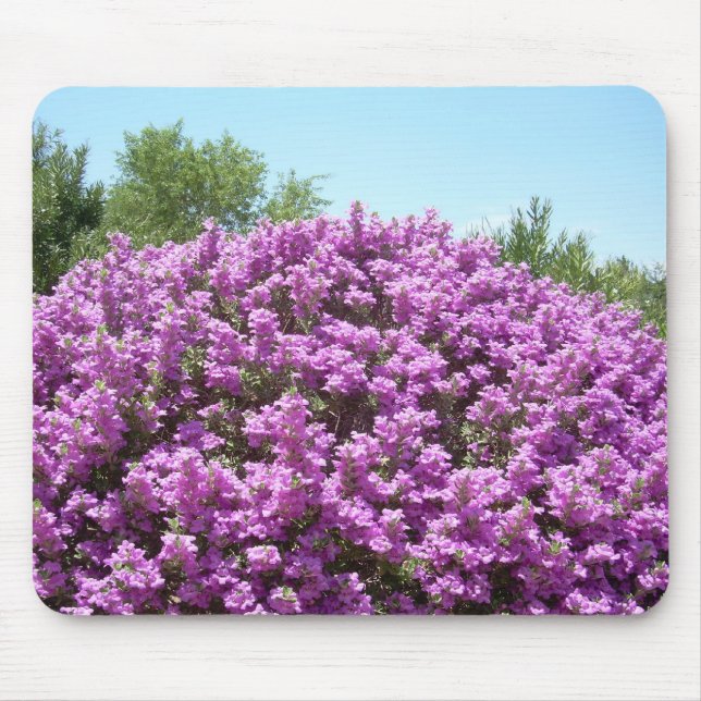 Tapis De Souris Sauge de floraison Mousepad du Texas (Devant)
