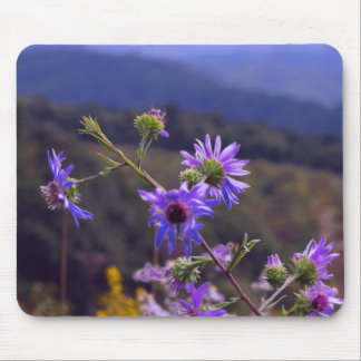 Tapis de souris sauvage d'asters