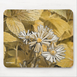Tapis De Souris Sauvage Souris Aster