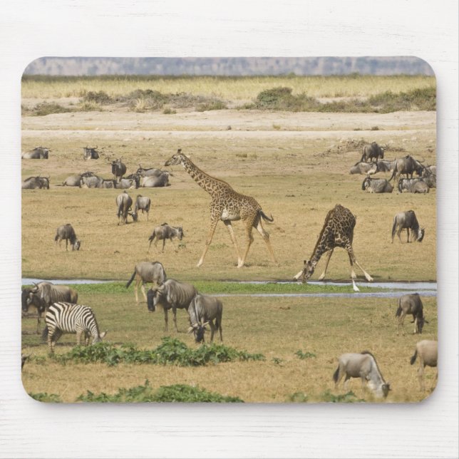 Tapis De Souris Sauvages, zèbres et girafes (Devant)