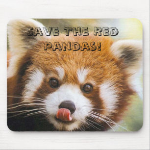 Tapis De Souris Sauvez les pandas rouges !