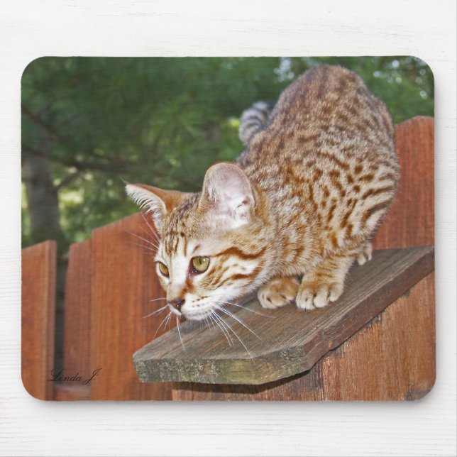 Tapis De Souris Savannah Chat Mousepad (Devant)