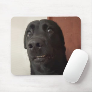 Tapis De Souris Scart de souris de chien effrayé