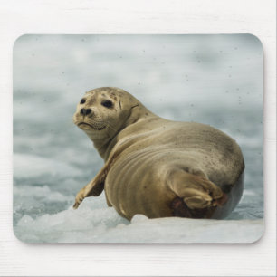 Tapis De Souris Sceau de fatigue
